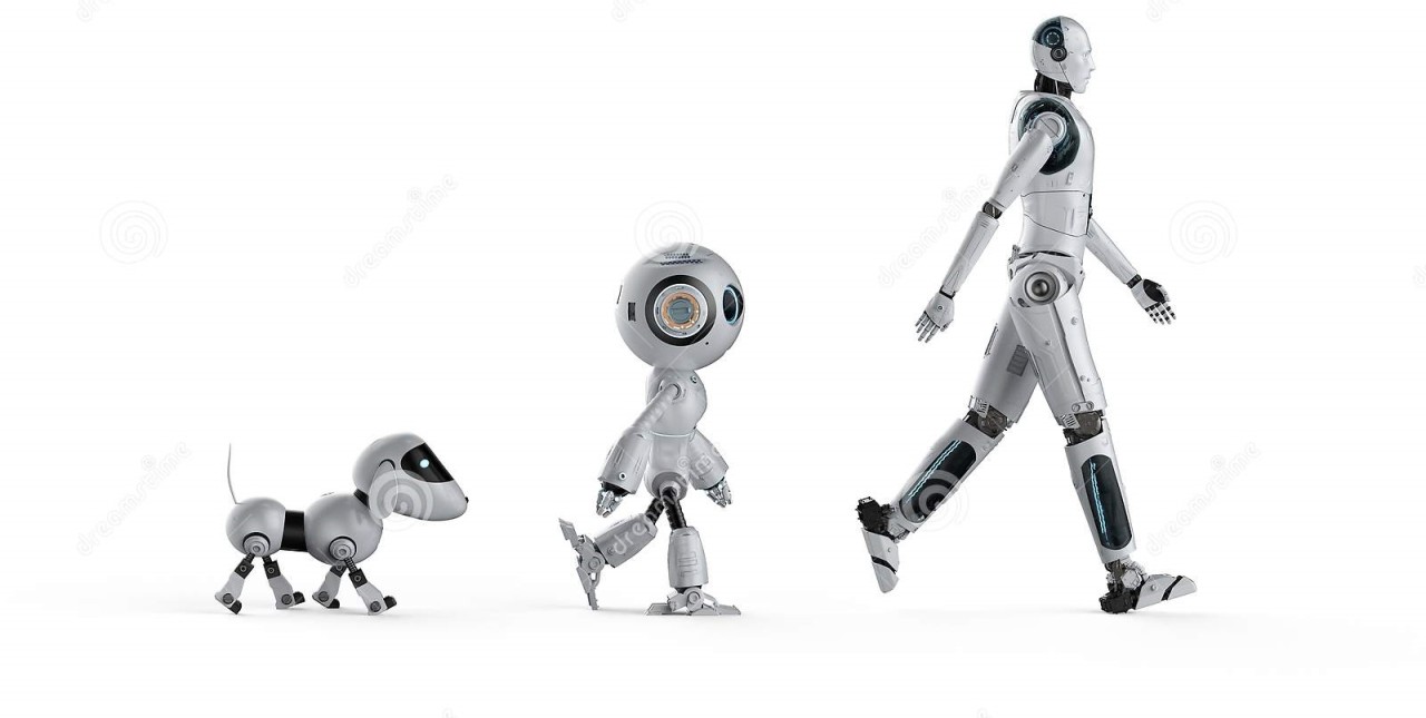 Cover image for What’s a Toy?
